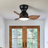 Trailblazer 18" ceiling fan light