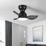 Trailblazer 18" ceiling fan light