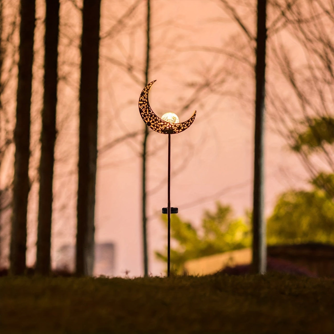 Celestial Garden Light – Misterlamp Auckland