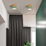 Nordic Cylinder LED ceiling lights for corridors