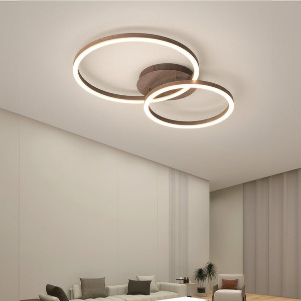 Elegant Ring Ceiling Luminaire