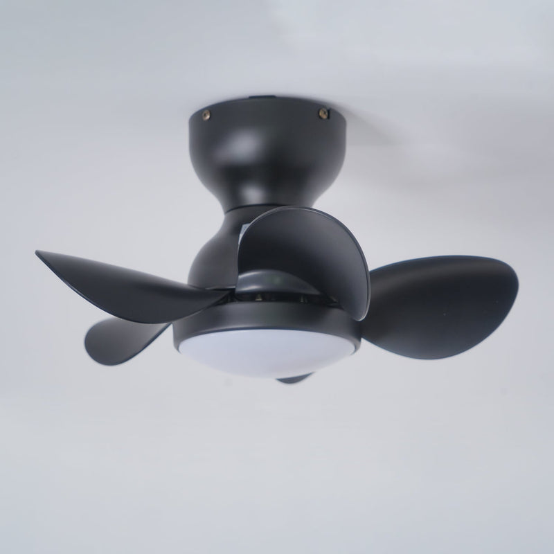 Trailblazer 18" ceiling fan light